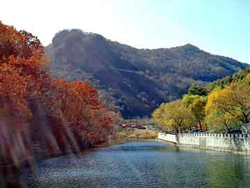 澳门今晚一肖必中特，荃湾seo建站